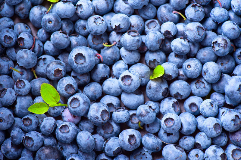 58蓝莓,蓝莓